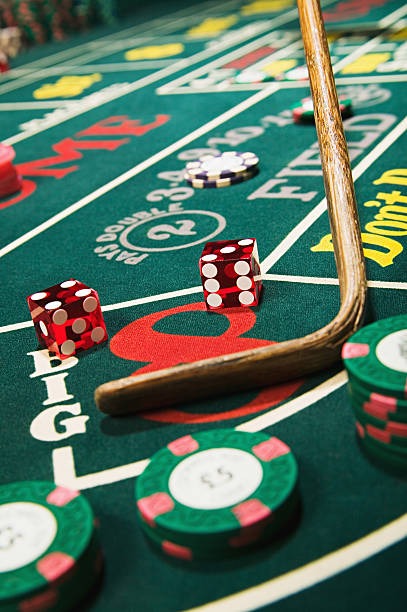 agen 338 Live Bingo Rooms Built for You
